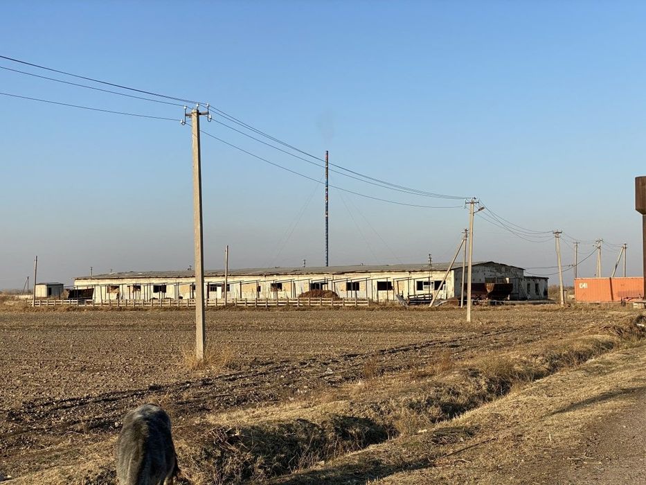 Продаётся ферма 34 га Ташкентская область