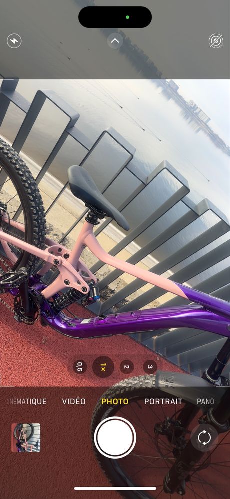 Giant Reign SX Fox 40