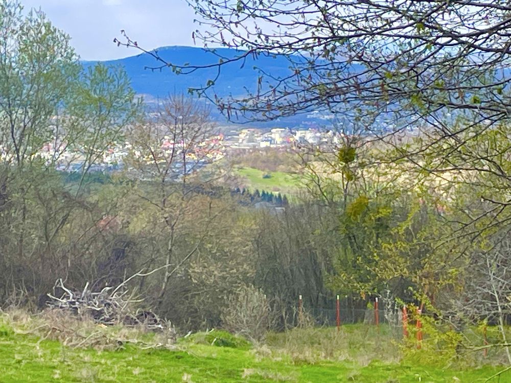 Teren 24 ari, Valea Jelnei