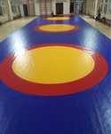Sport tatami mat optom татами маты борцовские tent ковер для Октагон