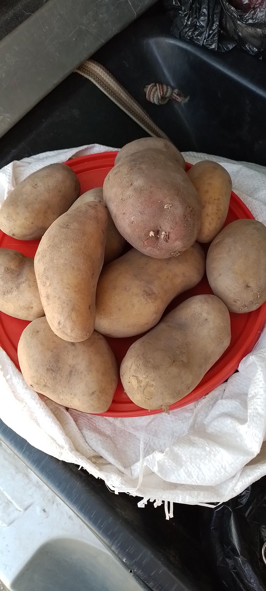 Продам картофель домашний,вкусный 300тг за кг