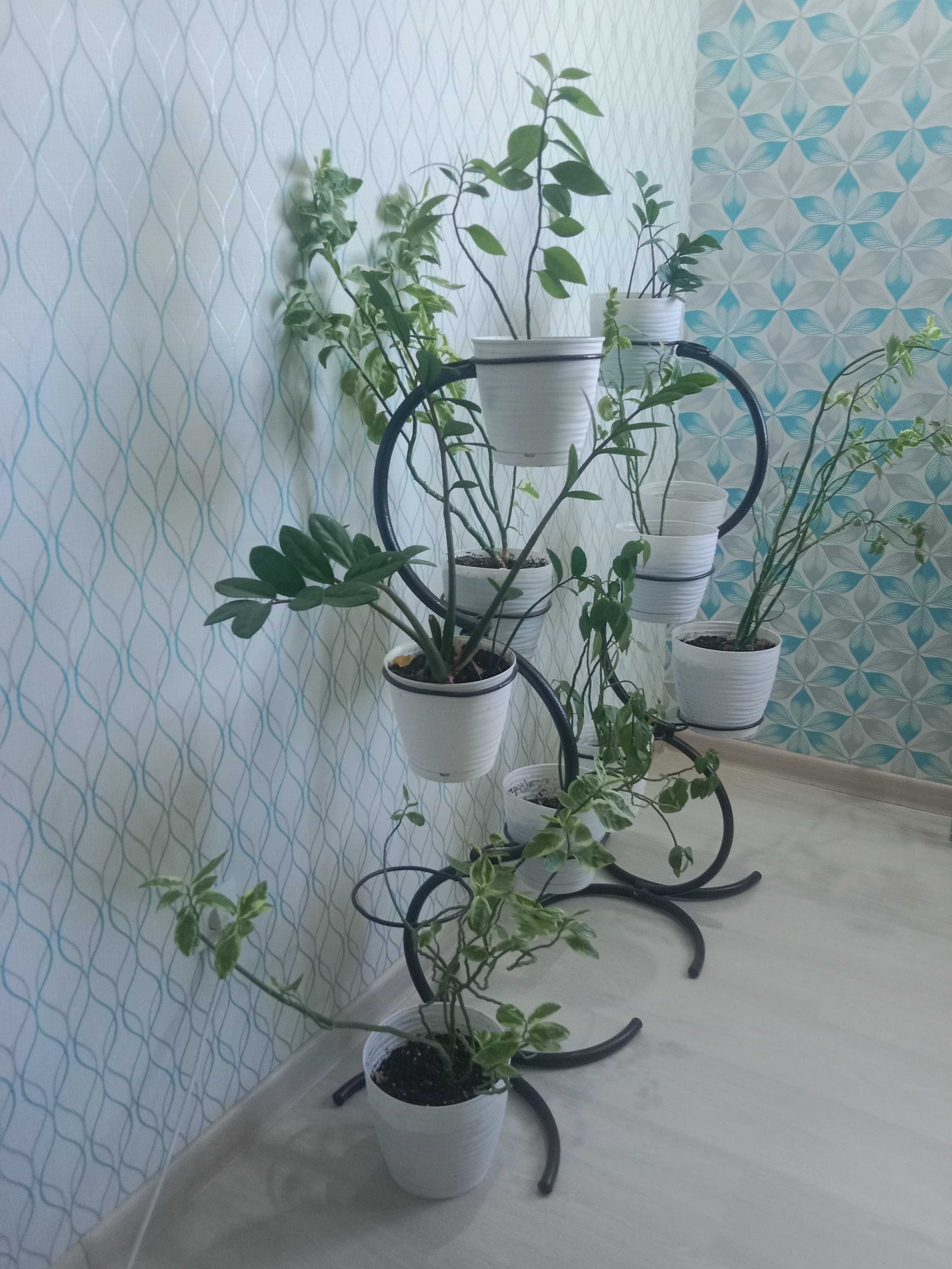Подставки для комнатных Цветов