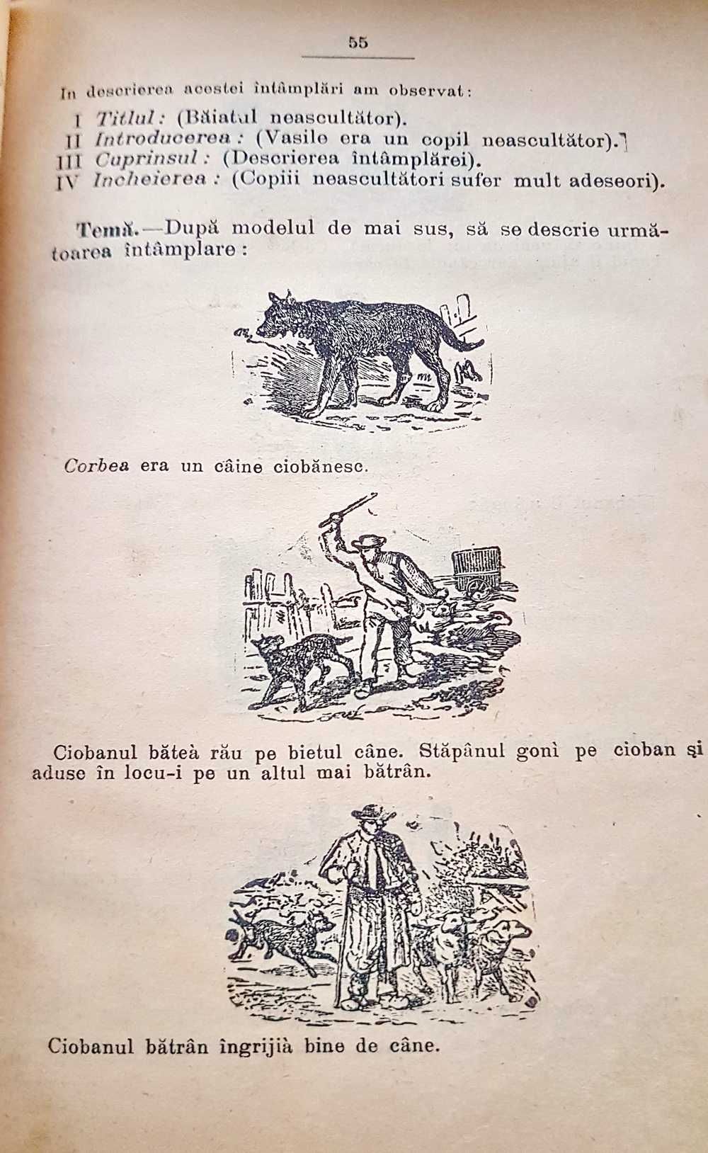 F216-I-Exercitii de Gramatica si Compuneri Manual Scolar 1904 Romania.
