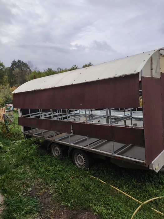 Pavilion apicol 28 familii