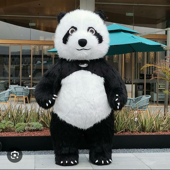 Надувные мишки срочно