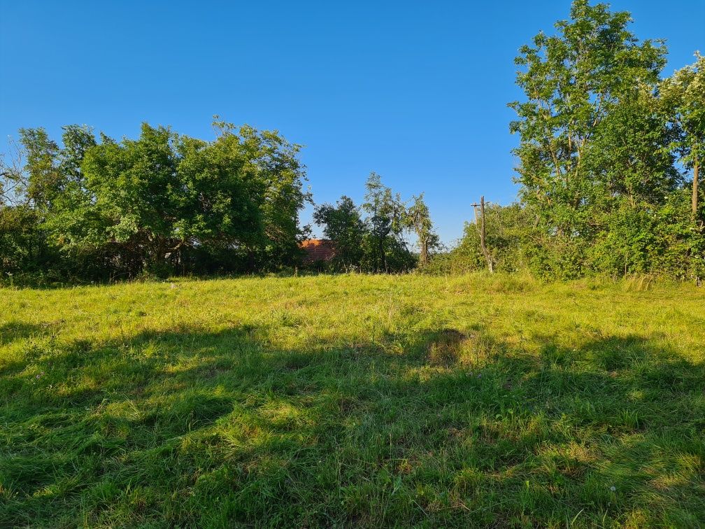 Teren intravilan-Căraci (Baia de Criș) HD