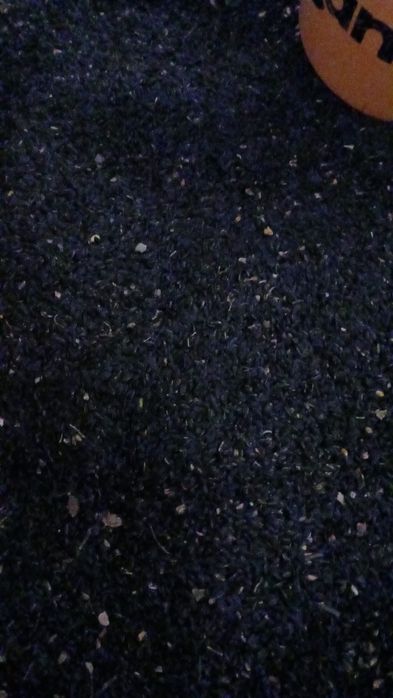 Vand Floarea soarelui