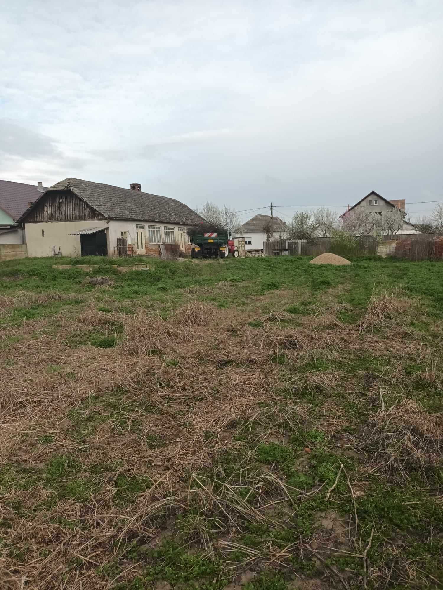 Vând loc de casă în centrul Com. Șimand, Jud. Arad