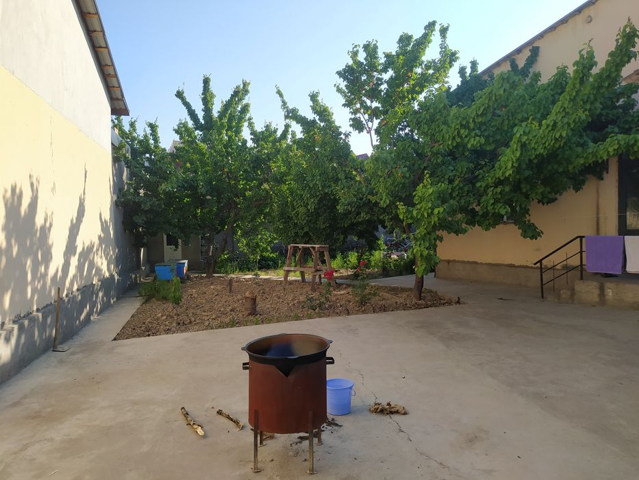 Mirzo Ulug'bek tumani Zakovat mahalla Katejlar