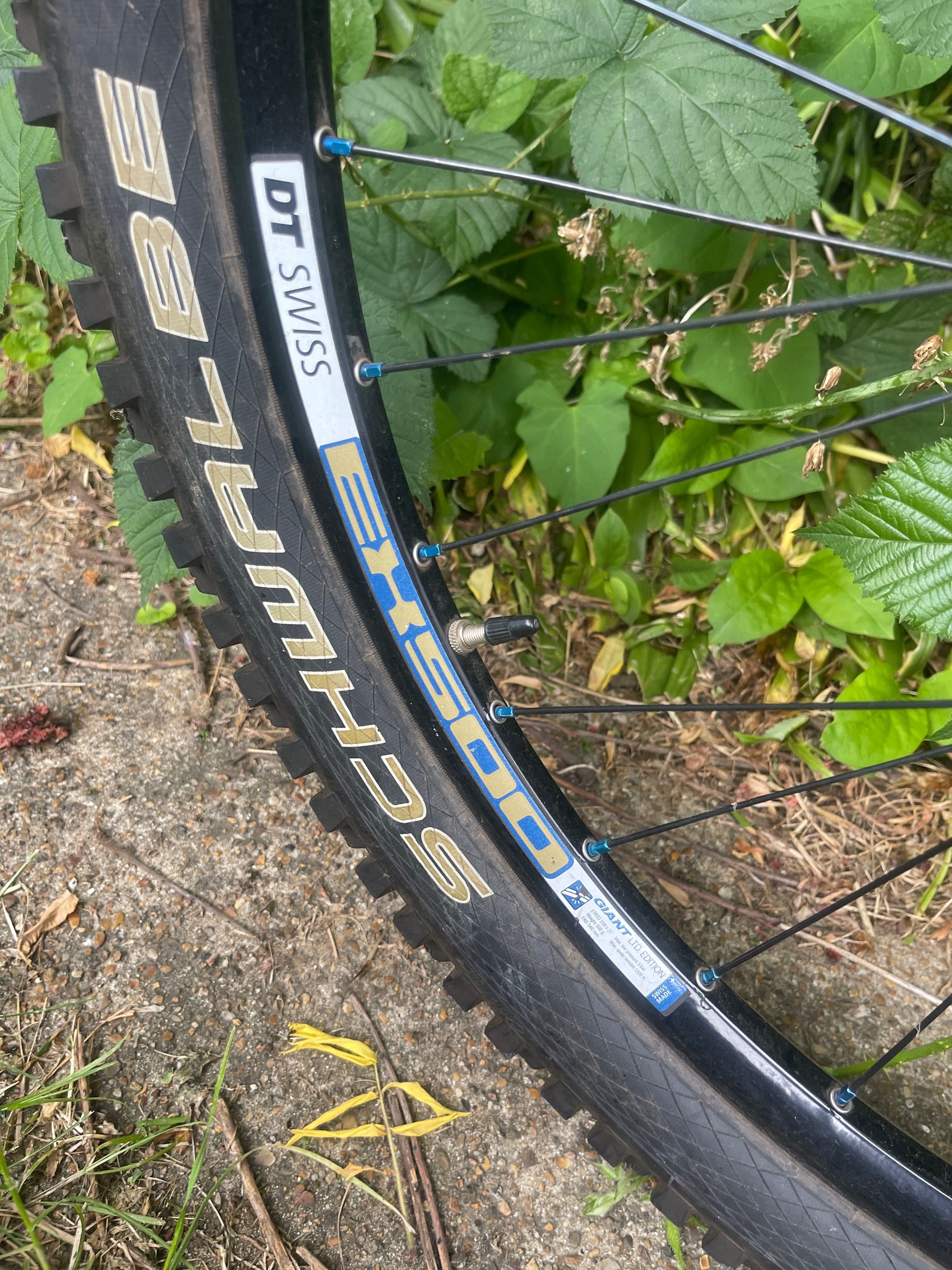 Giant Glory не saracen trek specialized yt