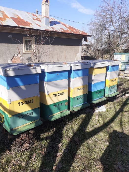 Stupi 1/2 cu fund ativaroa detasabil