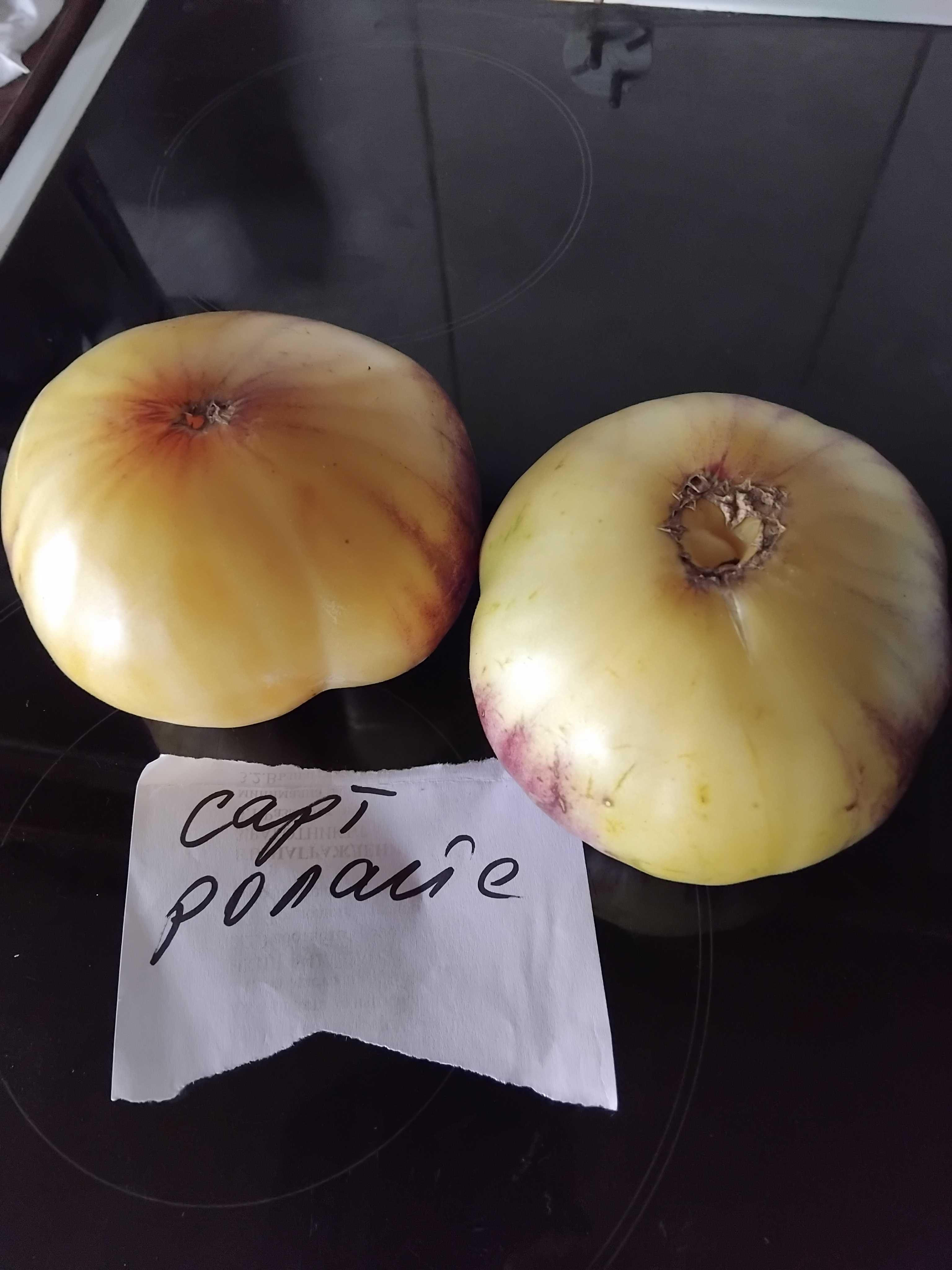 Продавам семена за домати
