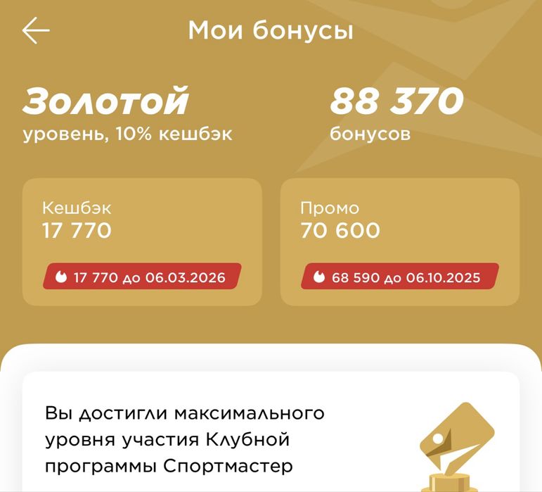 Бонусы в магазин спортмастер