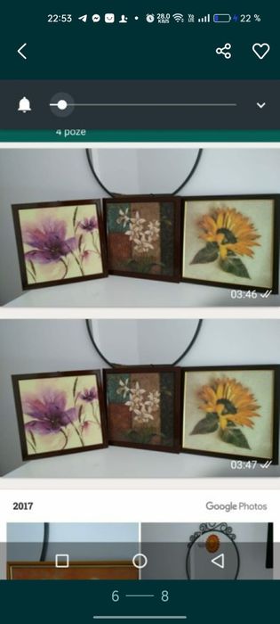 Pictura pe panza în ulei