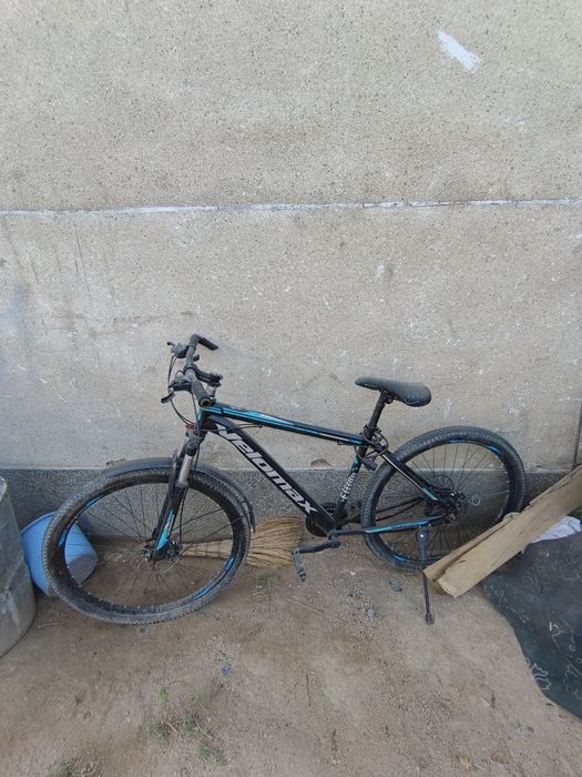 велик бита орка камера тешилган