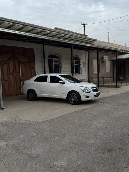 Cobolt White 2023 yil sotiladi