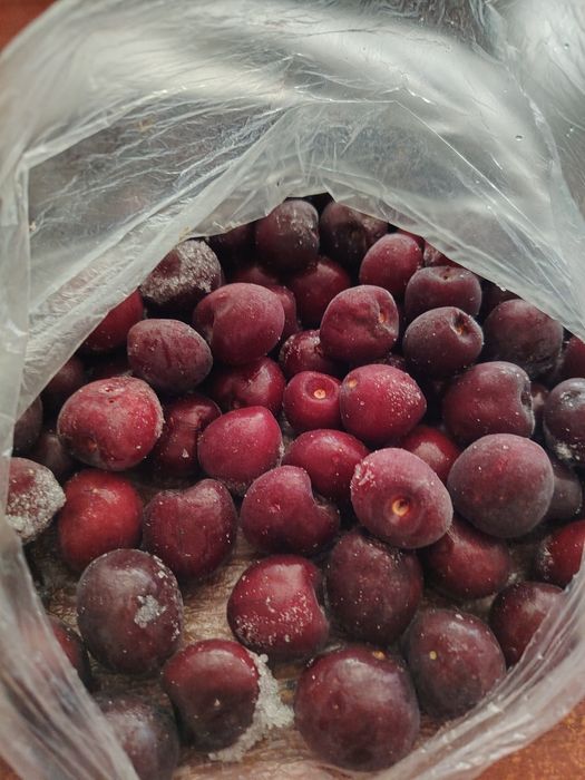 Черешня крупная  домашняя