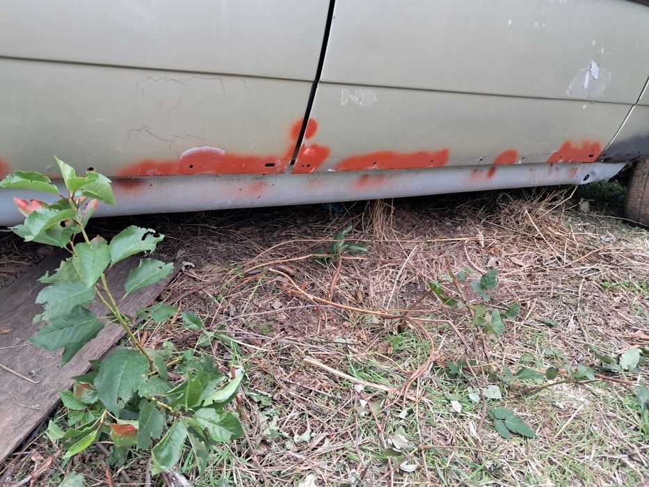 Mercedes 123, 1980 г.