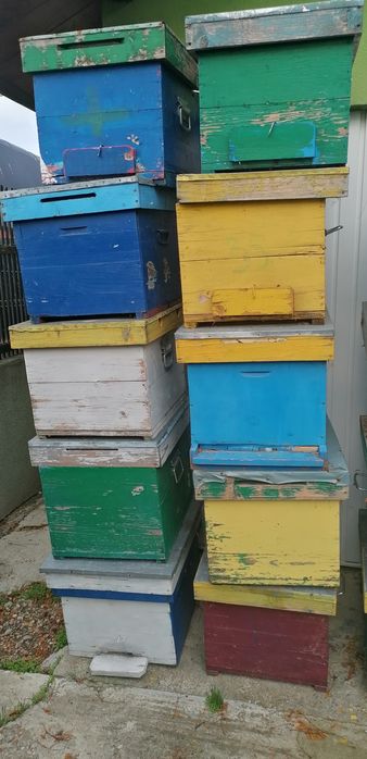 Cutii stupi orizontal și verticali