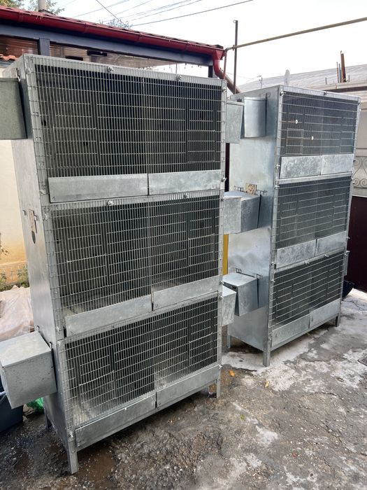 Vand colivi boxe reproducere papagali