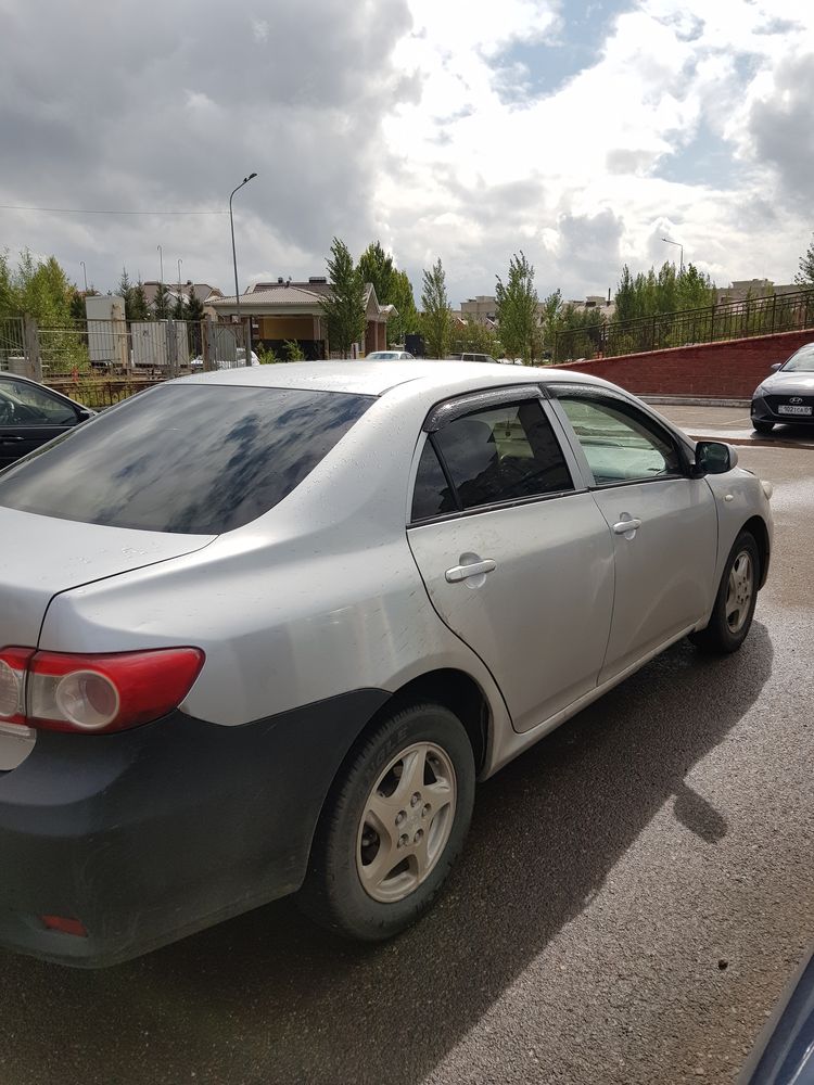 Аренда авто Toyota corolla