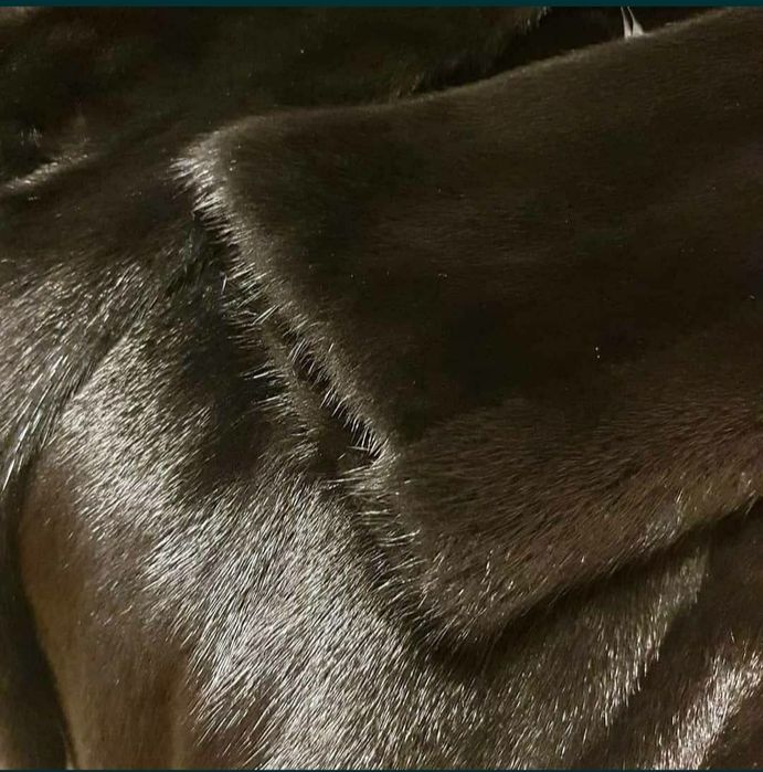 Шуба норковая абсолютно новая