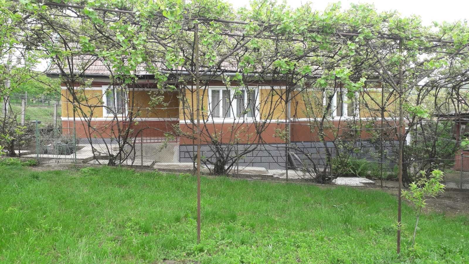 Vand Casa Sat Grindeni