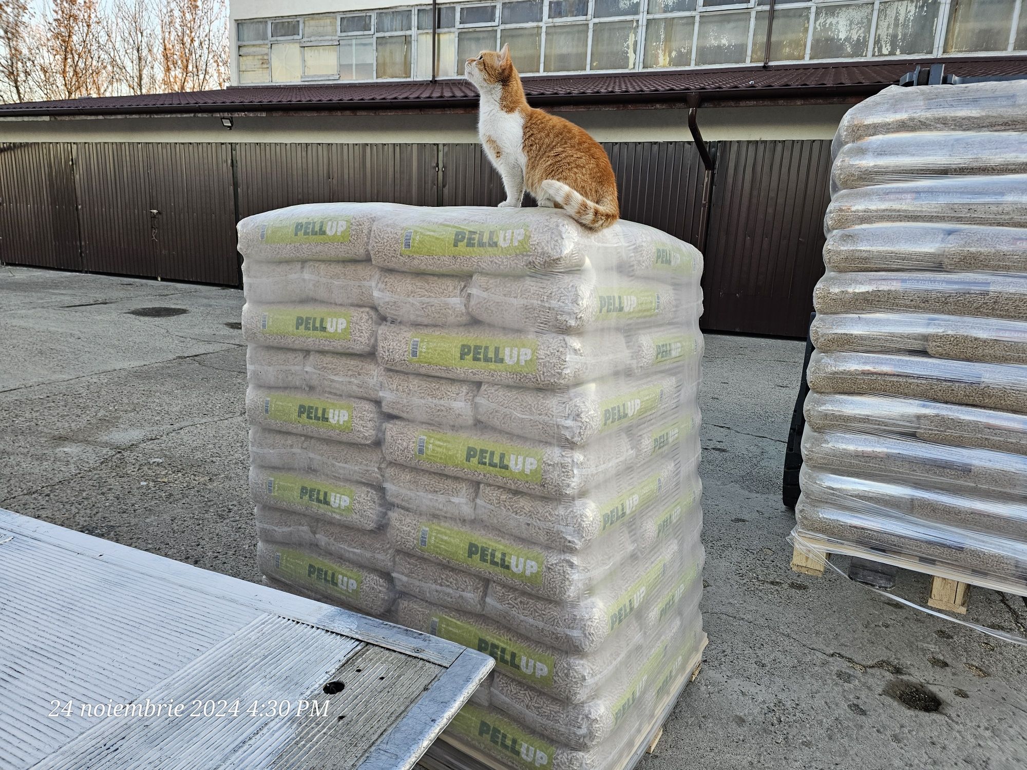 Peleti Pell up/ HS Timber/  Barlinek/Lemne paletizate/ Brichete ruf