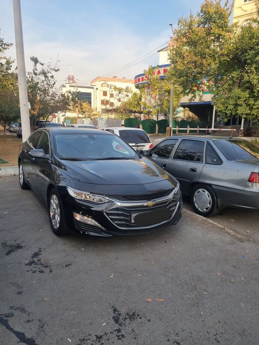 Malibu premier 2022 yil kraska toza