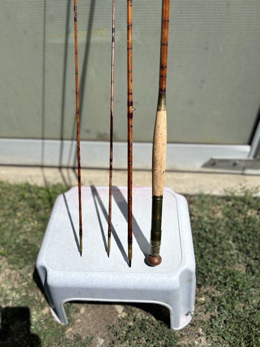 Undita musca FLY inceputul anilor 1900