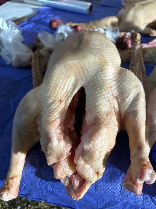 Гусыни  қаз еті сатылады