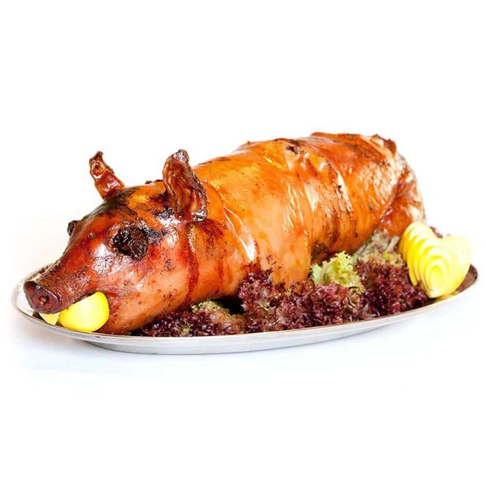 Продавам малки прасета за ресторанти или събития