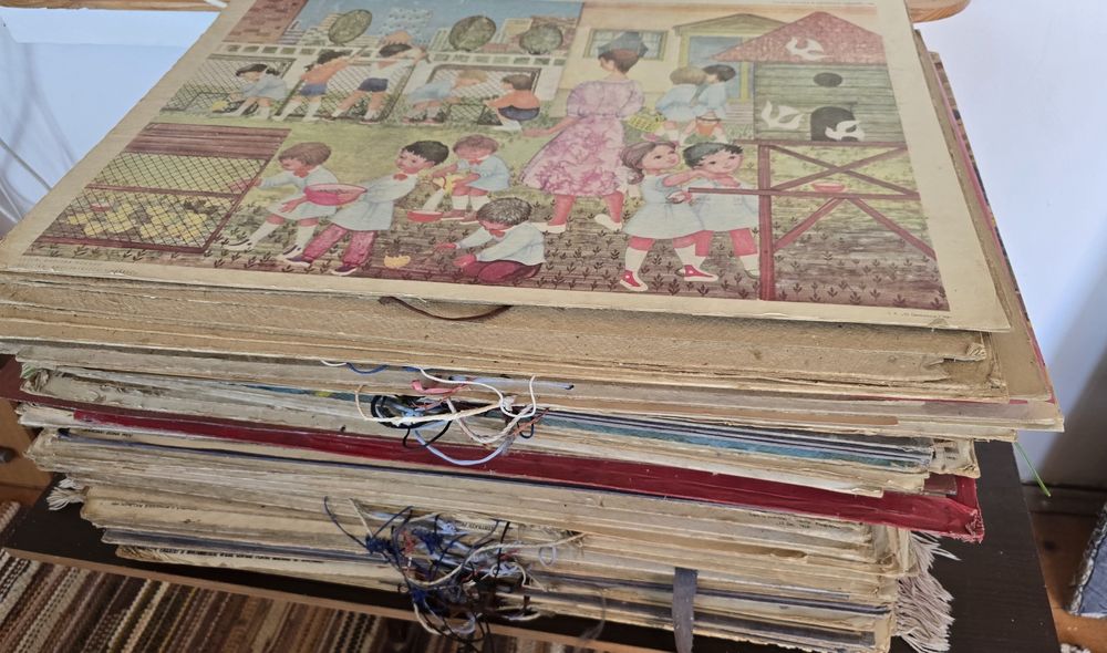 Planse didactice școlare