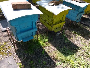 Пчелни кошери за отводки