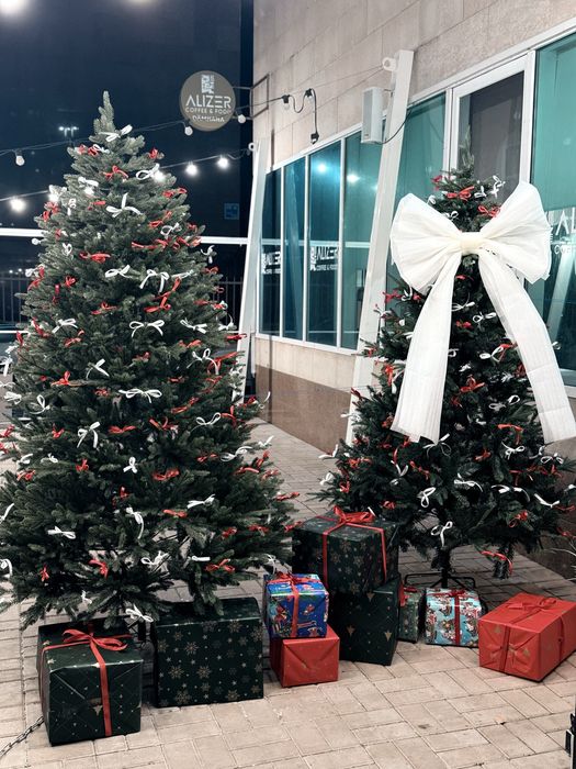 В продаже ёлки по низким ценам!!!