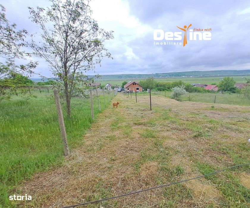 LETCANI, Teren 1055 mp, 21.900 euro