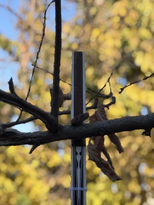 Maqom dutor (dutor an’anaviy)