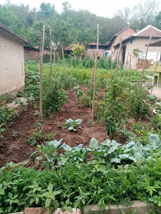 Продава се Къща в с. Рибен, Област Плевен - 200 кв.м за 102 €/кв.м - Снимка #1