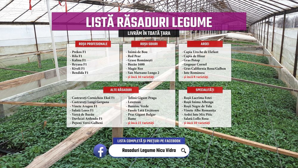 Vand Rasad Rosii Vinete Ardei Castraveti si alte Rasaduri Legume 2025