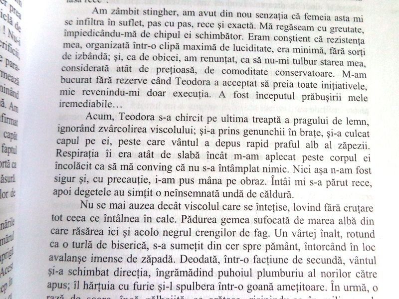 "Frica" roman de Liviu Comsia proza inspirata din realitatea anilor'80