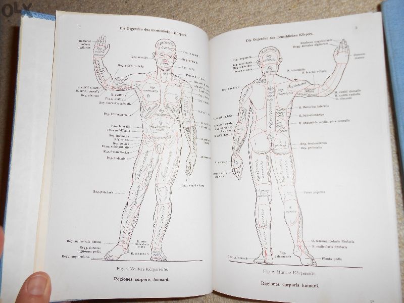 Анатомичен атлас на човешкото тяло на немски език. Първа част