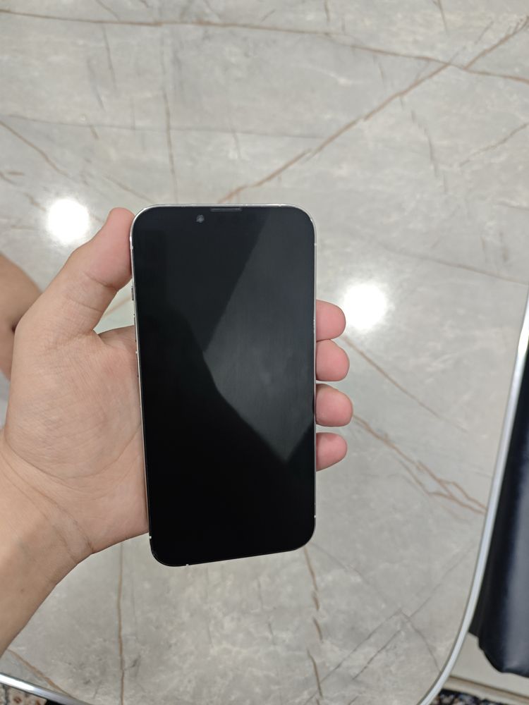 iPhone 13 Pro Silver