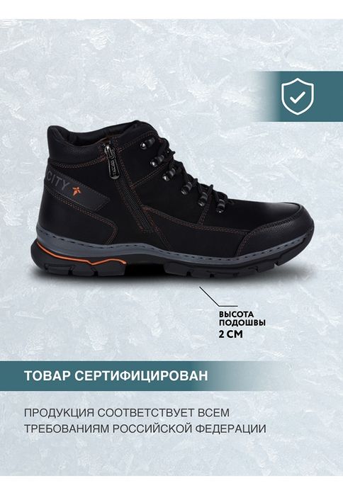 Мужские ботинки Taccardi