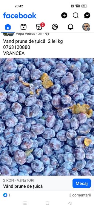 Prune de țuică foarte coapte
