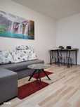 apartament 2 camere titan/codrii neamtului