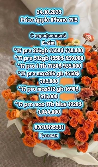 Iphone 17 Air, Pro Pro Max писать в ватс ап