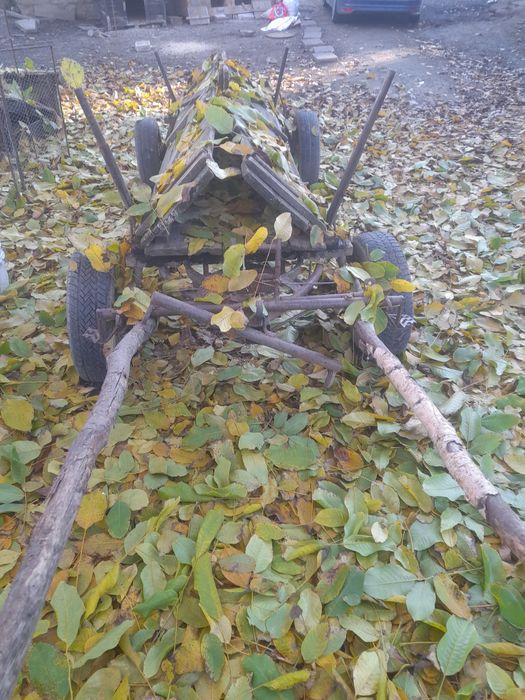 Căruță (ștraf )de vanzare