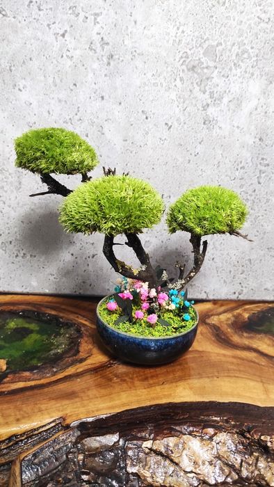 Мини Бонзай със скандинавски мъх