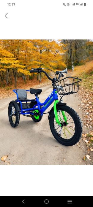 Велосипед детский двухместный