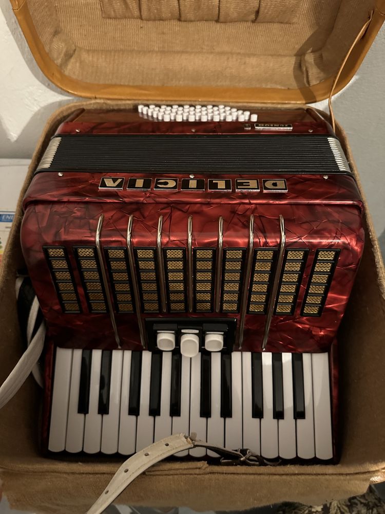 Vând Acordeon Delicia